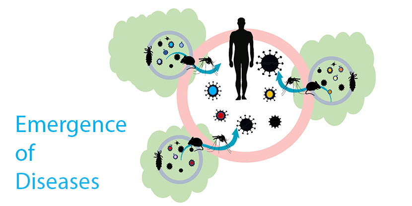 Emergence of Diseases