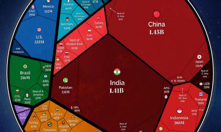 The World’s Population at 8 Billion 