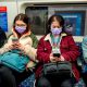 face masks in public transport