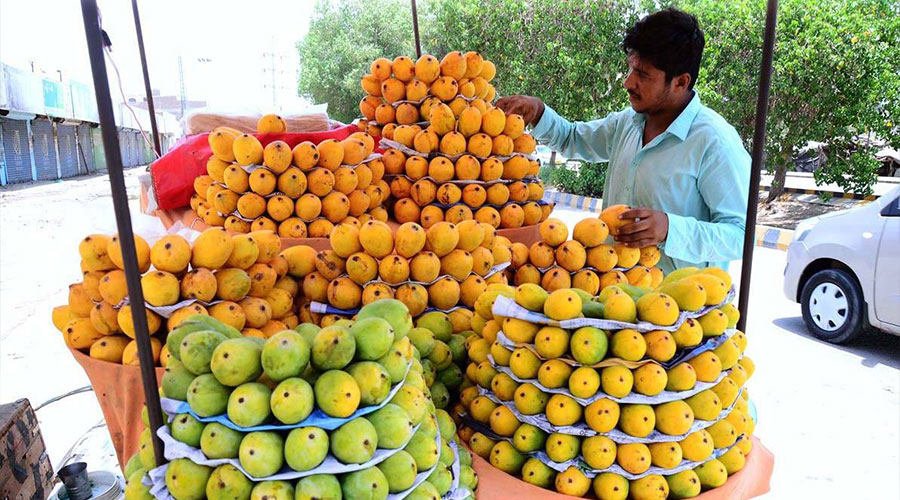 Man selling Pakistani mangoes