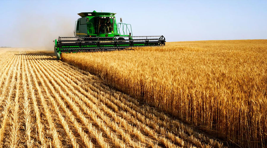 China Pakistan Agriculture
