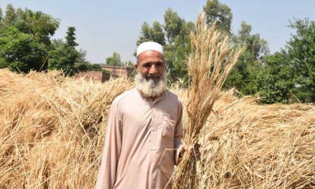 KP crop production water