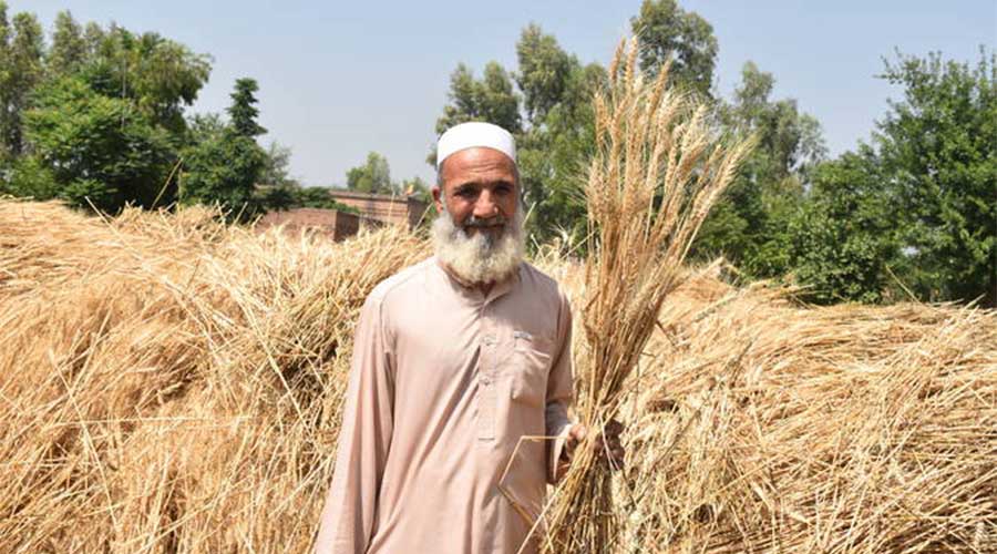 KP crop production water