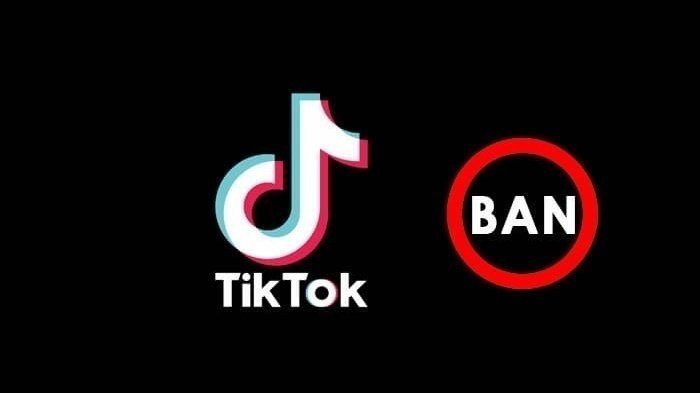 Pakistan TikTok ban