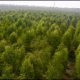 Pakistan climate goal