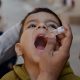 Pakistan poliovirus