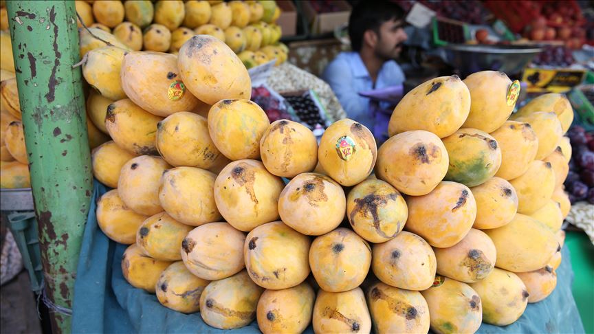 Japan import of mangoes