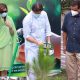 Imran tree plantation drive