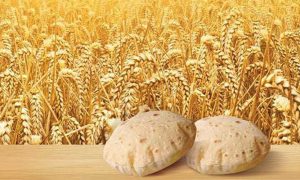 Khyber Pakhtunkhwa wheat