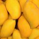 Pakistan mango export target
