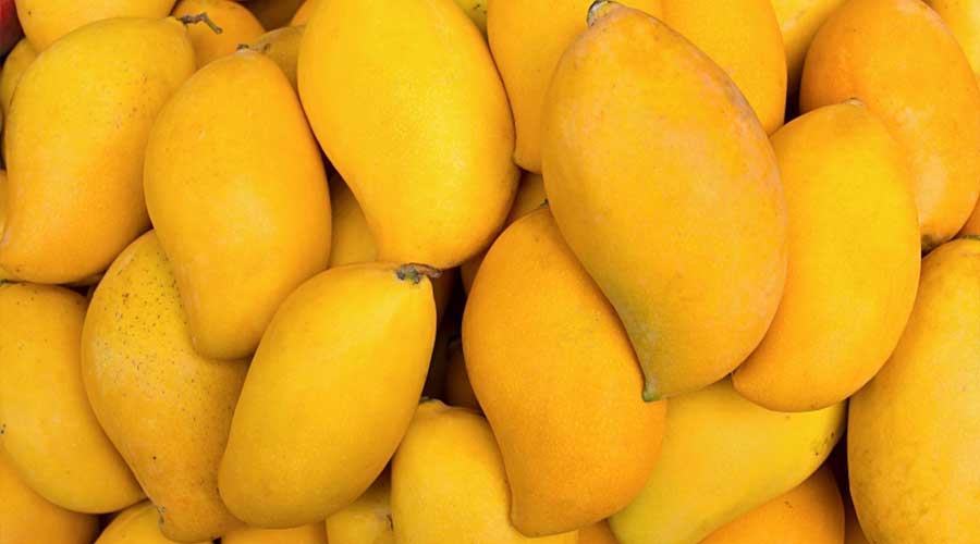 Pakistan mango export target