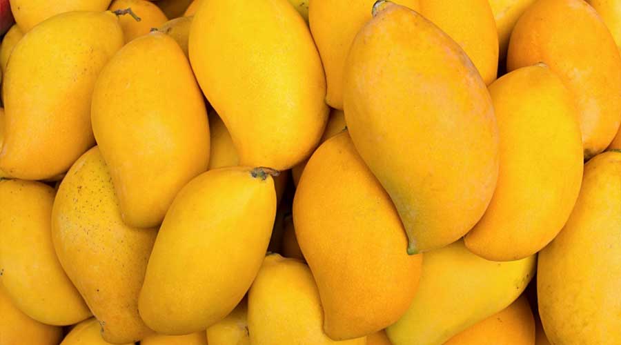 Pakistan mango export target