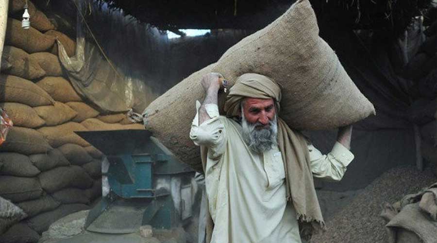 WWF Labourers Daughter's Marriage