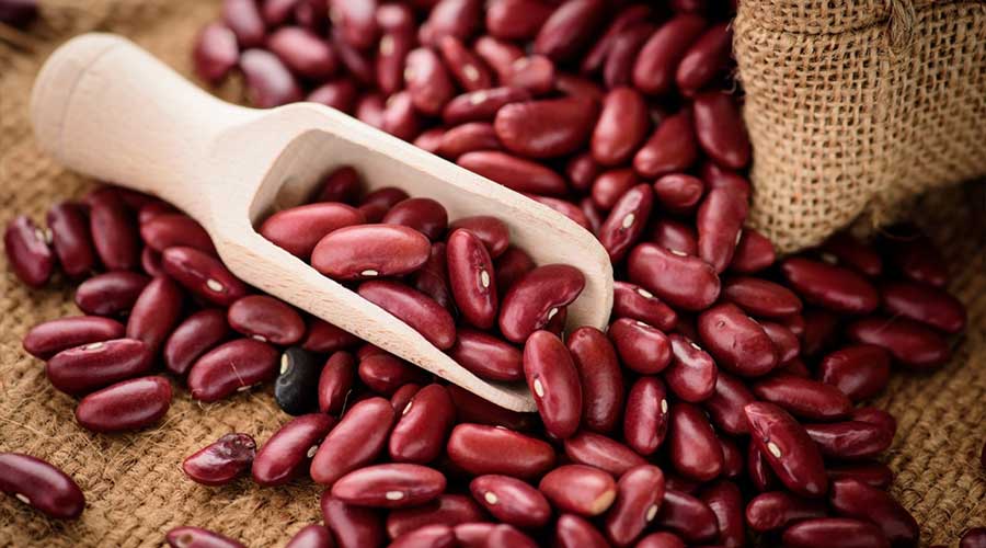 red kidney beans Ethiopia