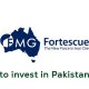 Fortescue Metals invest in Pakistan