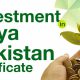 Naya Pakistan certificates
