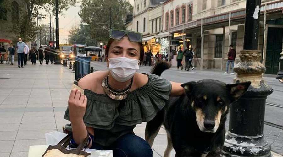 Anoushey animal