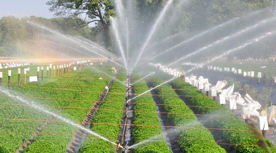 Drip irrigation Pakistan