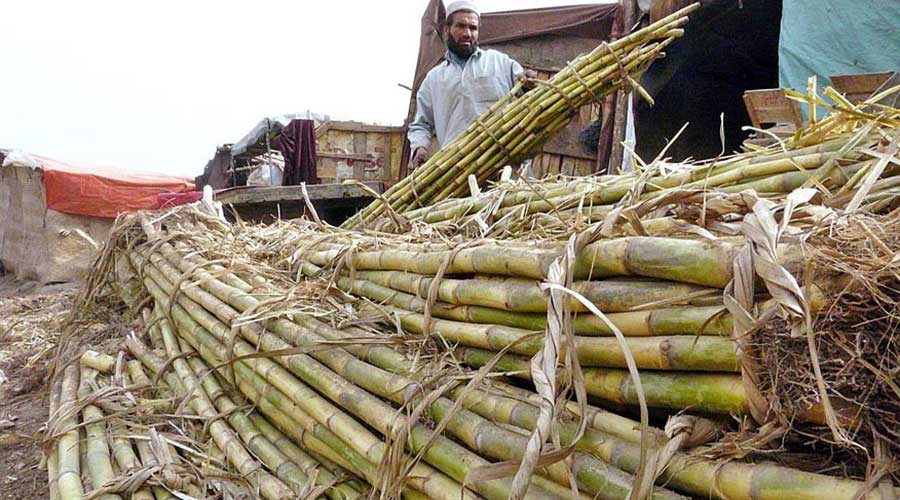 Sindh delaying sugar crushing