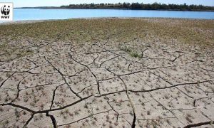Climate change coastal areas