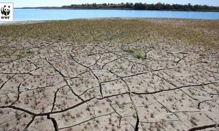 Climate change coastal areas
