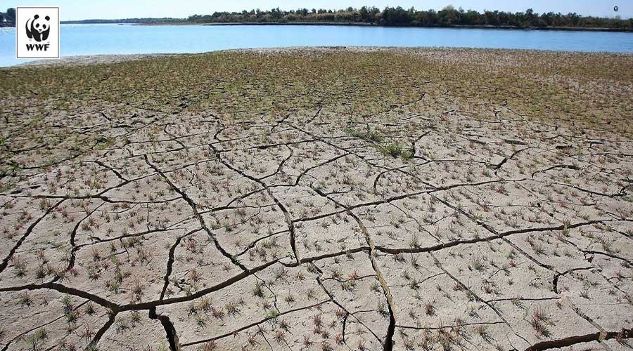 Climate change coastal areas