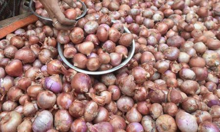 PFVA onion export