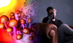 Psilocybin mushroom depression