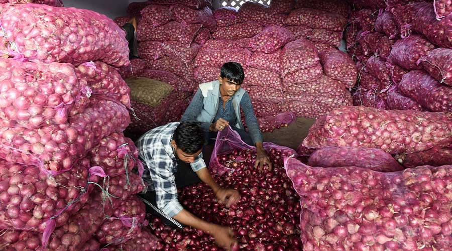 onion export