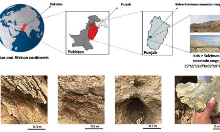 montmorillonite Punjab