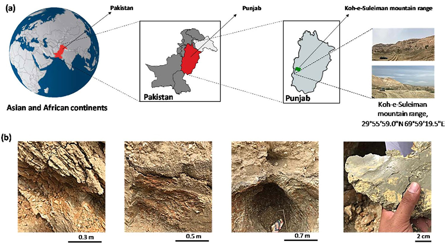 montmorillonite Punjab