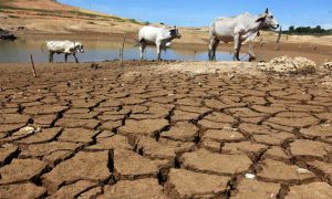 Pakistan climate risk