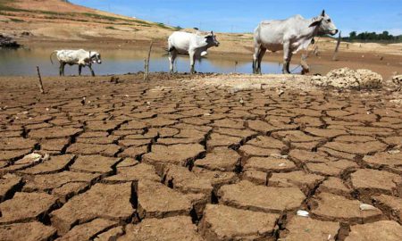 Pakistan climate risk