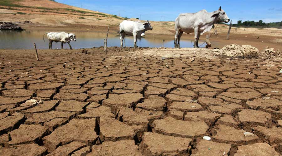 Pakistan climate risk