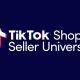 TikTok Shop Seller