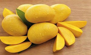 Traders lament low mango exports to US
