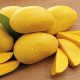 Traders lament low mango exports to US