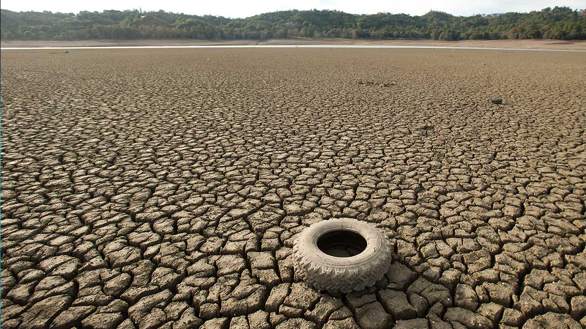 World Bank climate