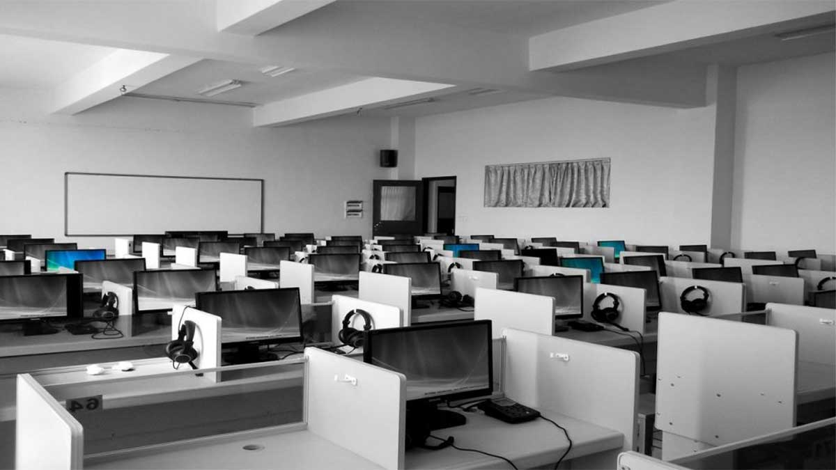 Japan IT professionals