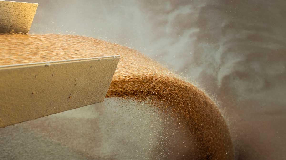 Pakistan wheat import