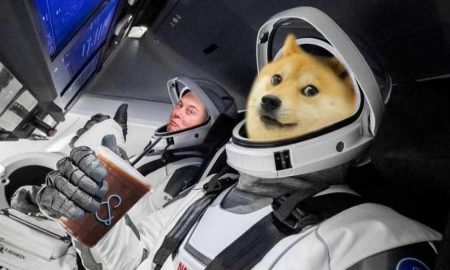 SpaceX dogecoin