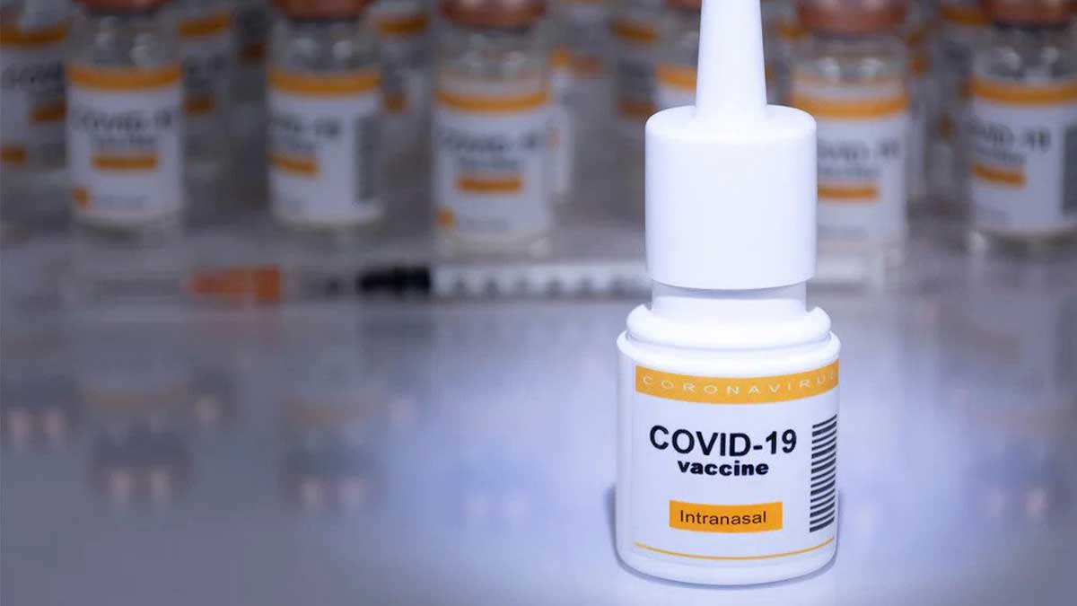 nasal Covid-19 vaccine
