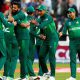 PCB cricket