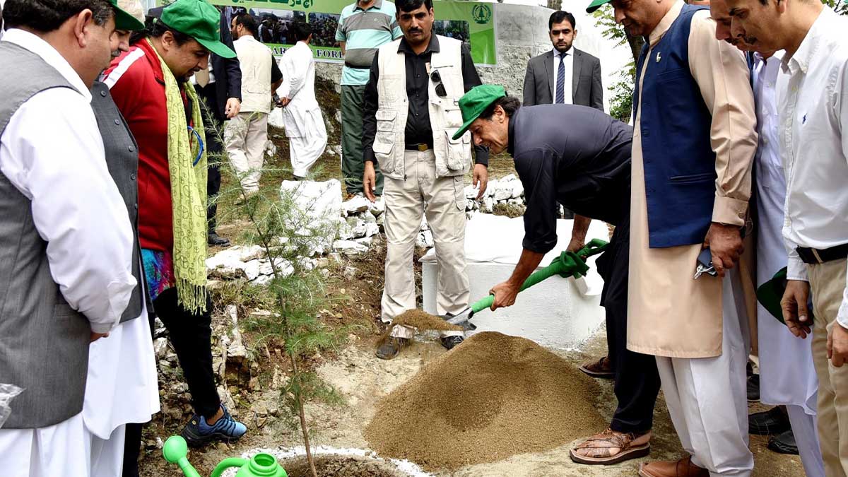 tree planting campaign