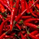 China chillies