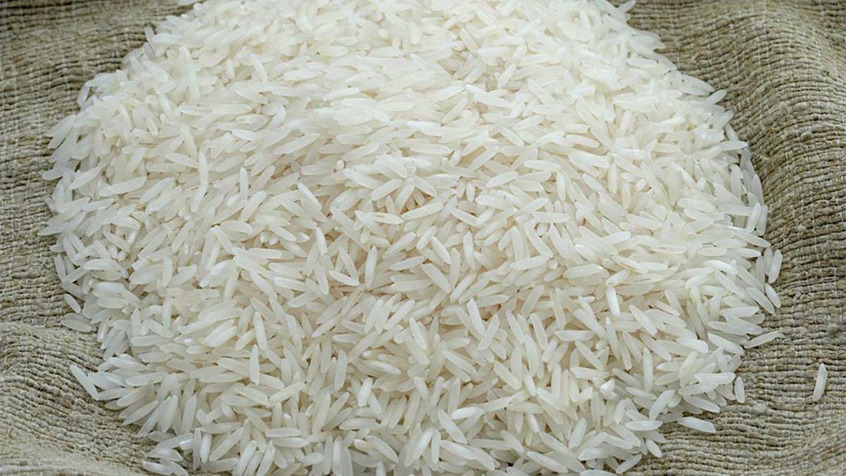 China rice