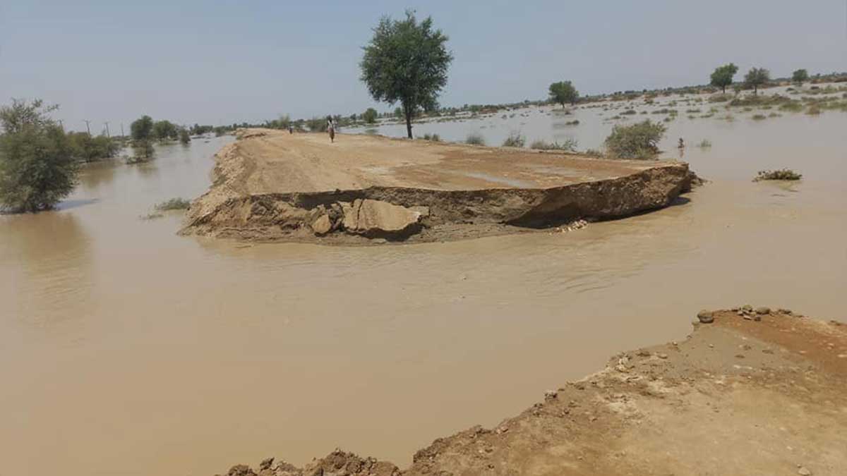 Dadu flood