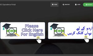 IBCC e-portal