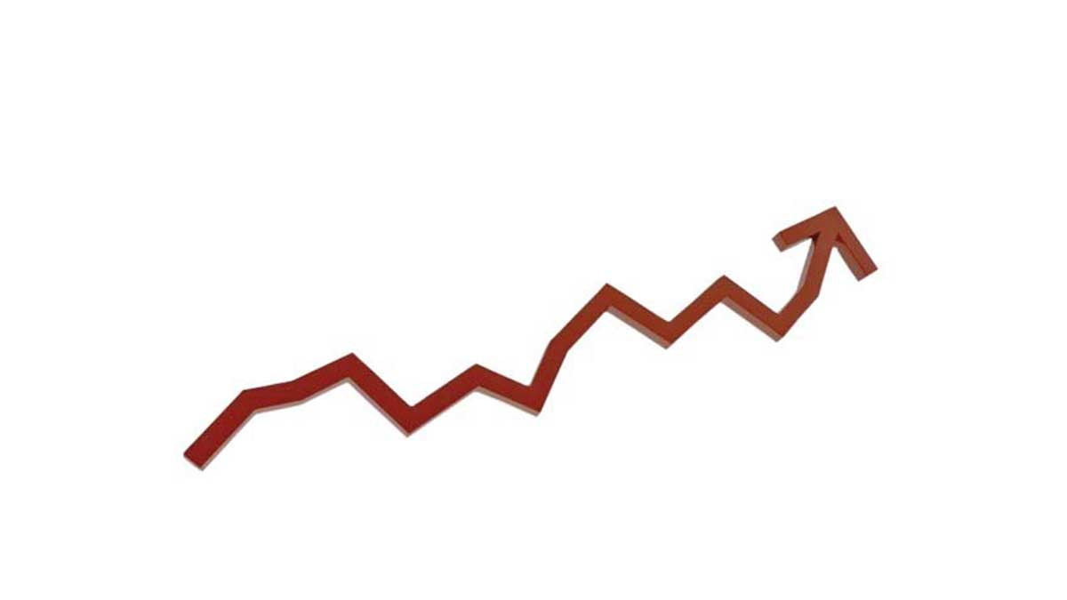 investments in government securities