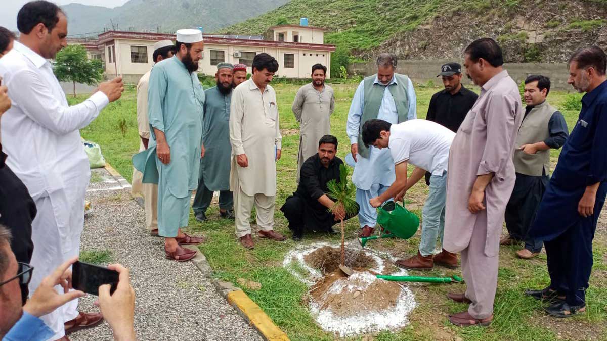 monsoon plantation